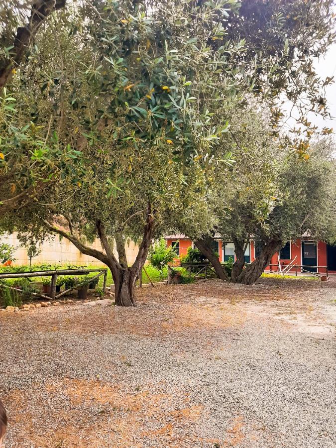 Locanda Adele Parghelia Exteriör bild